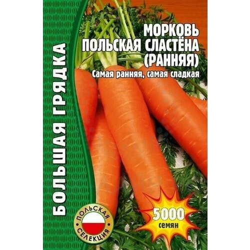 Морковь Польская Сластена (ранняя) 5000 шт/ Большая грядка 210р