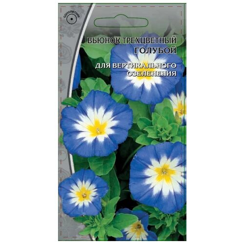 Семена Ваше Хозяйство Вьюнок трехцветный голубой Подходит для выращивания на балконах и подоконниках Неприхотливый травянистый однолетник со стелющимися побегами и изящными трехцветными цветками, высотой до 35см. Граммофоны темно-голубые с яркой желто-белой серединой, диаметром 5см. Растение холодостойкое, светолюбивое. Цветет обильно с июля по сентябрь. Используют в рабатках, на клумбах, каменистых горках, для озеленения балконов, веранд и вазонов. 0,5 гр. 102р
