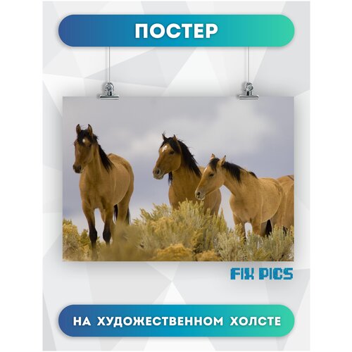 ������ ����������� �� ����� ��� ���� � ����, ������� ��� ��������� �� ������ ������, ����� ��������, 3 ���� 30�40 �� 504�