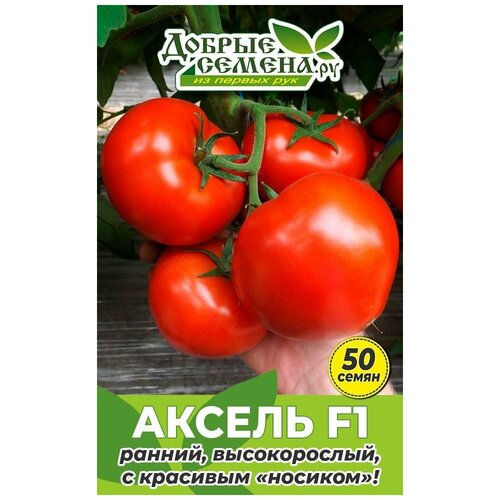Семена томата Аксель F1 - 50 шт - Добрые Семена.ру 496р