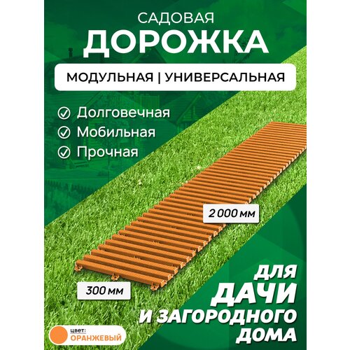 ������� ������� 2 � ������ 30 ��, ����: ��������� 1210�
