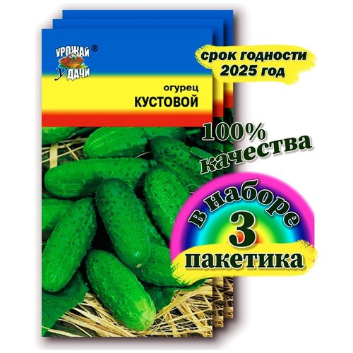 семена овощей огурец кустовой 260р