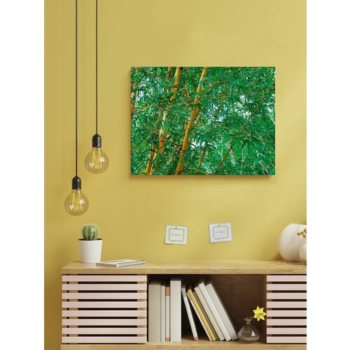������� �� ������ 30 x 40 �� ��� 525�