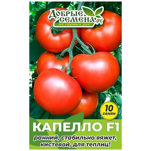 Семена томата Капелло F1 - 10 шт - Добрые Семена.ру 180р