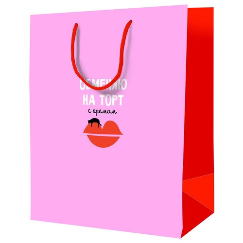 ����� ���������� 18*23*10�� ArtSpace 