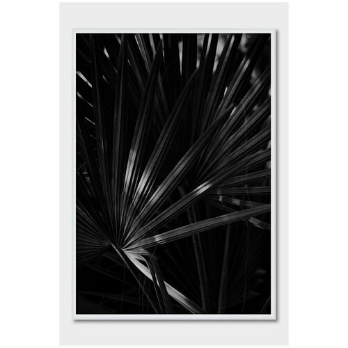 ������ ��� ��������� Postermarkt, 40�50 ��, #8 2249�