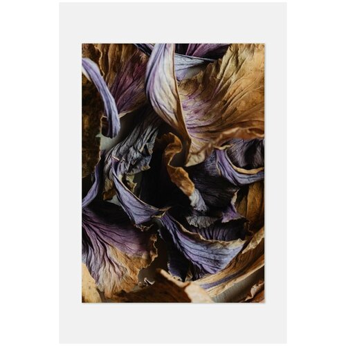 ������ ��� ��������� Postermarkt, 70�100 �� � ������, #127 2699�