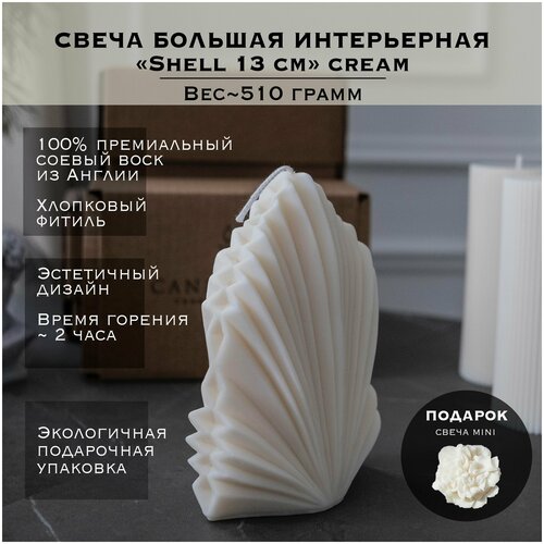 ����� ����������� �� ������� ����� Shell Cream / CANDLE LAB / 1 �� 1590�
