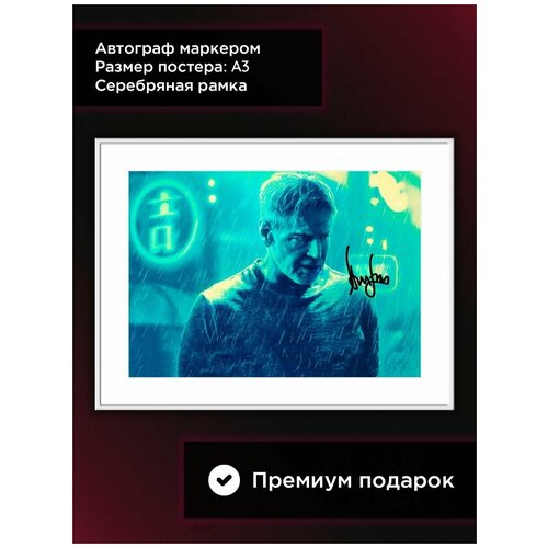������ � ���� � ���������� �������� ���� � ������ ������� �� ������ 2049, �3, ���������� ���� 2209�