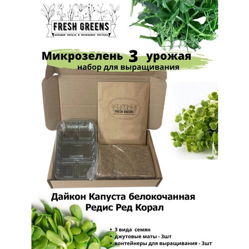 Микрозелень для выращивания Набор Fresh Greens (Дайкон Капуста белокочанная Редис Ред Корал) 378р