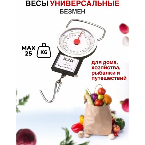���� ������ ������ ���������� 267�