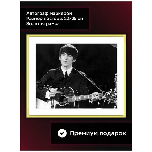 ������ � ���� � ���������� ������ ��������, �����, 20*25 ��, ������� ���� 1614�