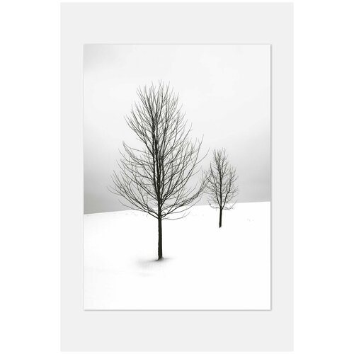 ������ ��� ��������� Postermarkt, 60�90 �� � ������, ���� #96 2159�