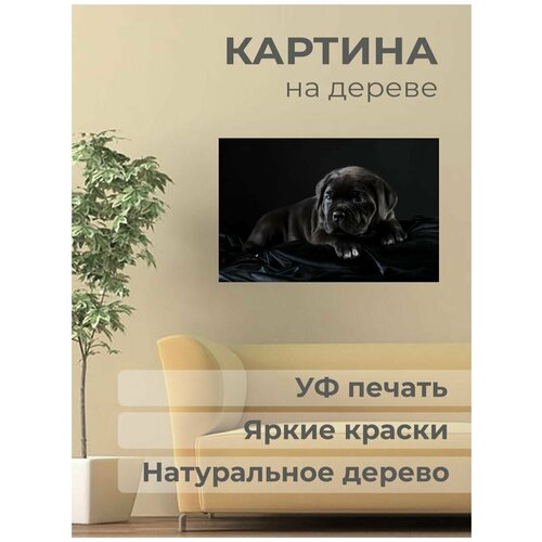 ����������� ������� �� ������ 