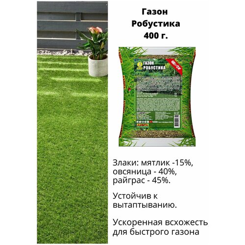 Семена газона Робустика 400г (райграс, овсяница, мятлик) быстрый газон 990р