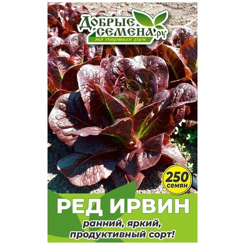 Семена салата Ред Ирвин - 250 шт - Добрые Семена.ру 192р