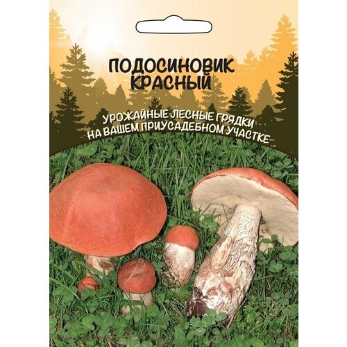 грибы Подосиновик Красный (Урал. Дачник) 469р