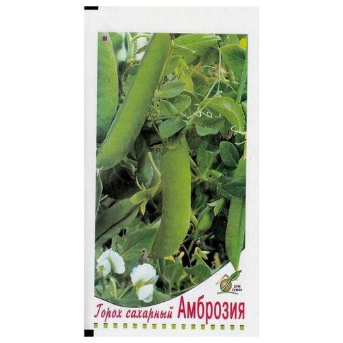 Семена Горох Амброзия 50шт для дачи, сада, огорода, теплицы / рассады в домашних условиях 376р