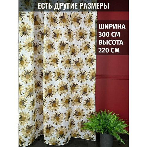 ������� ����� ���� � ��������� �������, ������ 300x220 �� 2038�