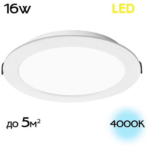 Citilux     Cld5516n . 783