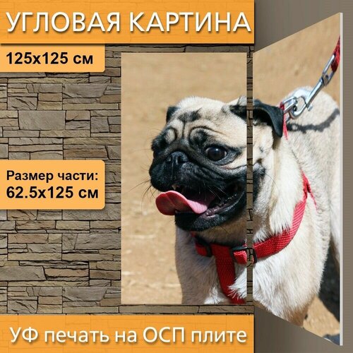 ������� ��������� ������� 