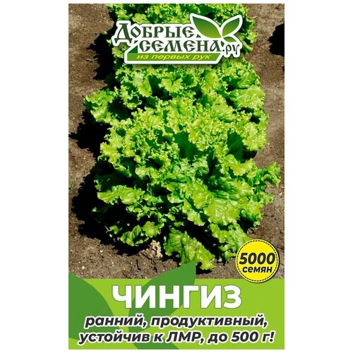 Семена салата Чингиз - 5000 шт - Добрые Семена.ру 630р