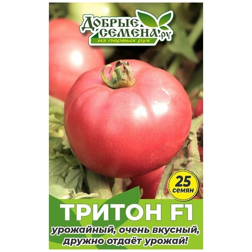 Семена томата Тритон F1 - 25 шт - Добрые Семена.ру 156р