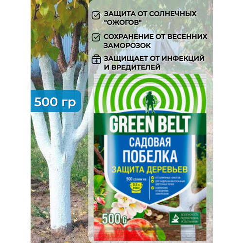   Green Belt ( ) 500        214