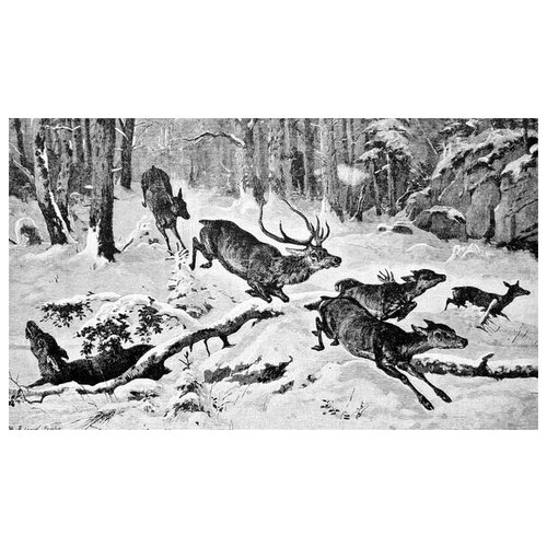 ������ �� ������ ����� �� ������ (Deerstalking) 51��. x 30��. 1470�