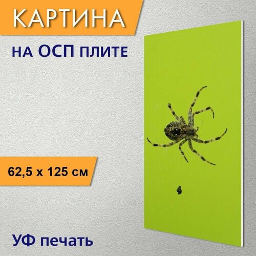 ������������ ������� 