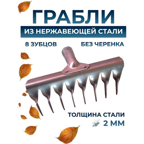 ������ ����������� ����� � ����� ����� 8 590�