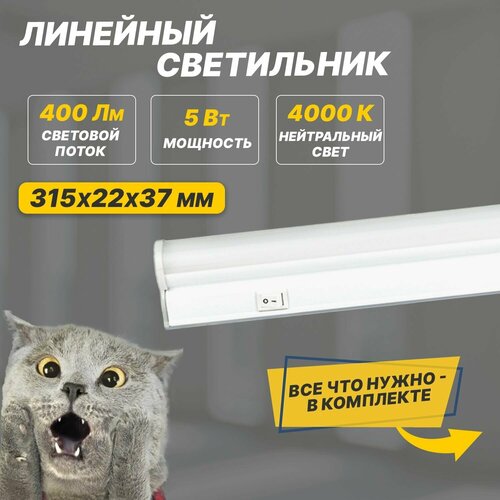    REXANT LED  , 5 ,  305  REXANT