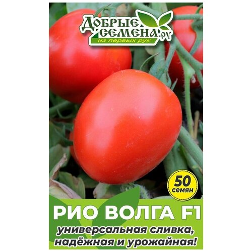 Семена томата Рио Волга F1 - 50 шт - Добрые Семена.ру 168р