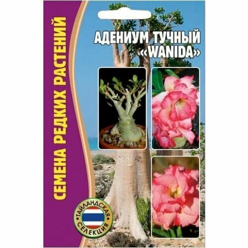Адениум тучный Wanida 3 семени х 1 упаковка/ Семена Редких растений 444р