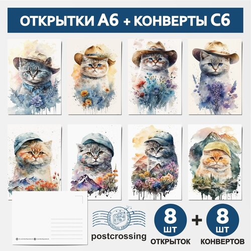    :  6 - 8 , - 6 - 8 , postcrossing /  - 6 / postcard_8_postcrossing_cat_A6_set_6 459