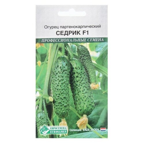 Семена Огурец партенокарпик Седрик F1, 5 шт, 2 шт. 262р