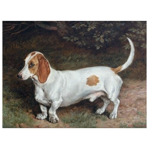 ������ �� ������ ������ (Dog) �4 40��. x 30��. 1220�