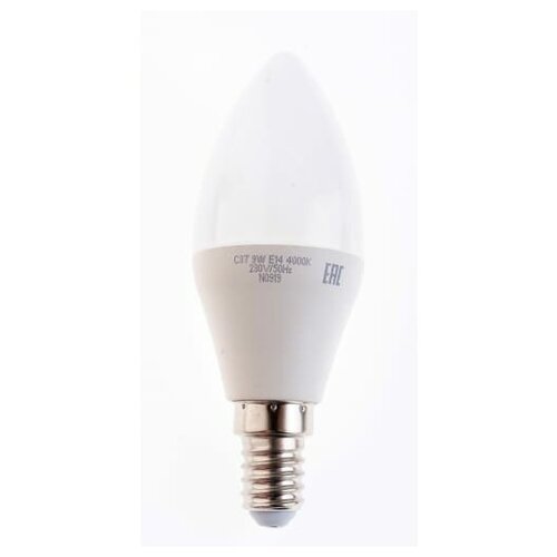   LED 9w E14 4000K  Jazzway |  5019034 | JazzWay (1 .) 473