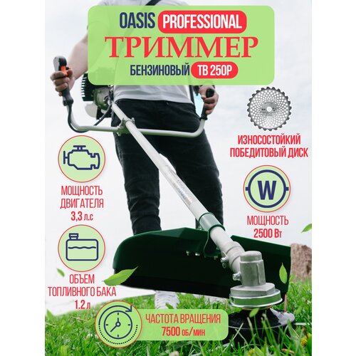   OASIS Professional  250 52 ?/2500 5889