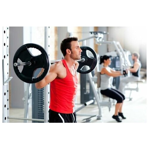 ������ �� ������ ������ (Fitness) �43 75��. x 50��. 2690�