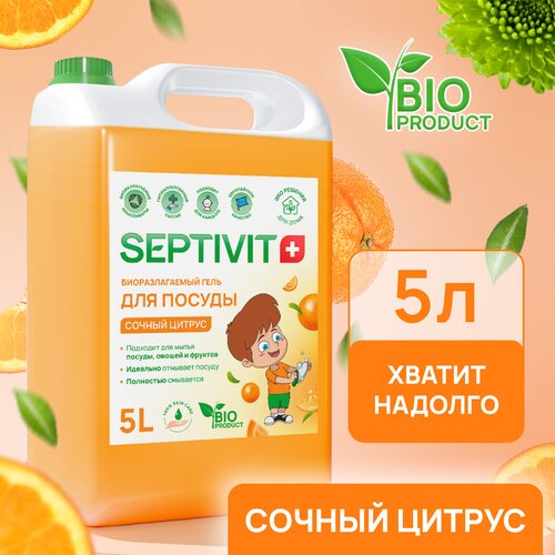    ,    SEPTIVIT Premium /      /     /   5 664