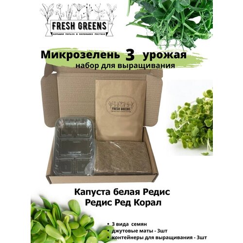 Микрозелень для выращивания Набор Fresh Greens (Капуста белокочанная Редис Редис Ред Корал) 378р