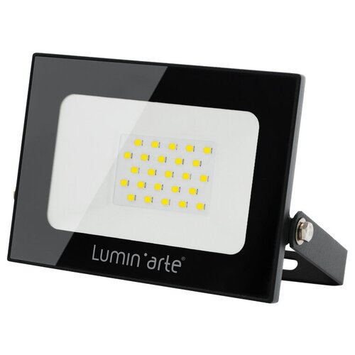 ������������ ��������� Lumin'arte LFL-30W/05 30�� 5700� IP65 2400�� ������ 321�