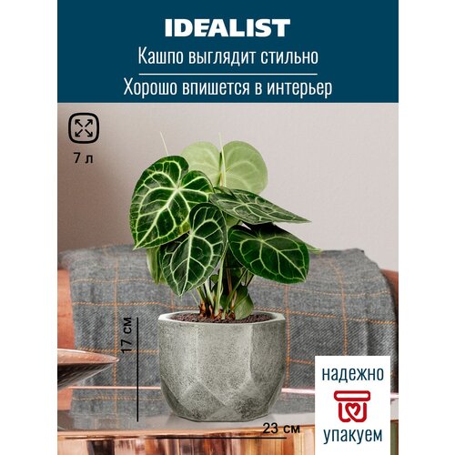     Idealist Lite  , , D23 H17 , 7 . 2277