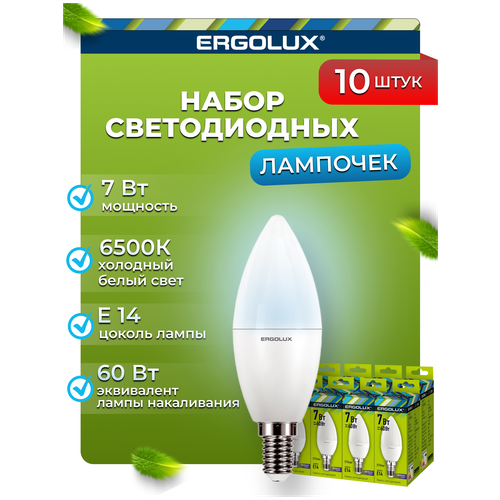     Ergolux LED-C35-7W-E14-6K   10 ,  770  Ergolux