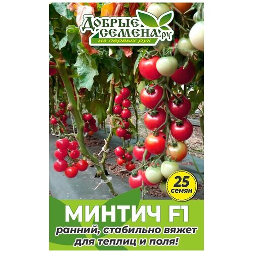Семена томата Минтич F1 - 25 шт - Добрые Семена.ру 486р