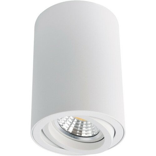    ARTE LAMP Sentry 1x50 GU10  ,  2990  Arte Lamp