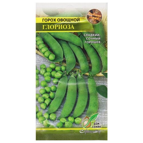 Семена Горох Глориоза 40шт для дачи, сада, огорода, теплицы / рассады в домашних условиях 376р