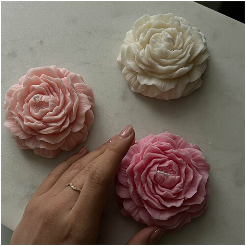����� ������ Peony pink (3 ��) �� ������� ����� / CANDLE LAB / ������� �� 14 ������� / ������� �� 8 ����� ��� ������� 750�