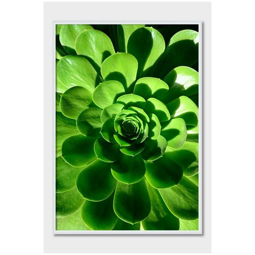 ������ ��� ��������� Postermarkt, 50�70 �� � ����� �����, ������ #28 3239�